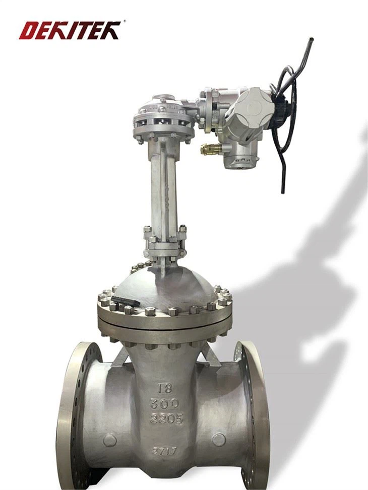 Duplex Stainless Steel Gate Valve